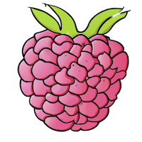raspberry logo